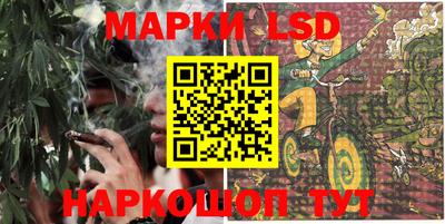 ECSTASY Новозыбков