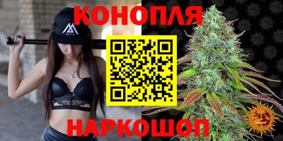 стаф Обь